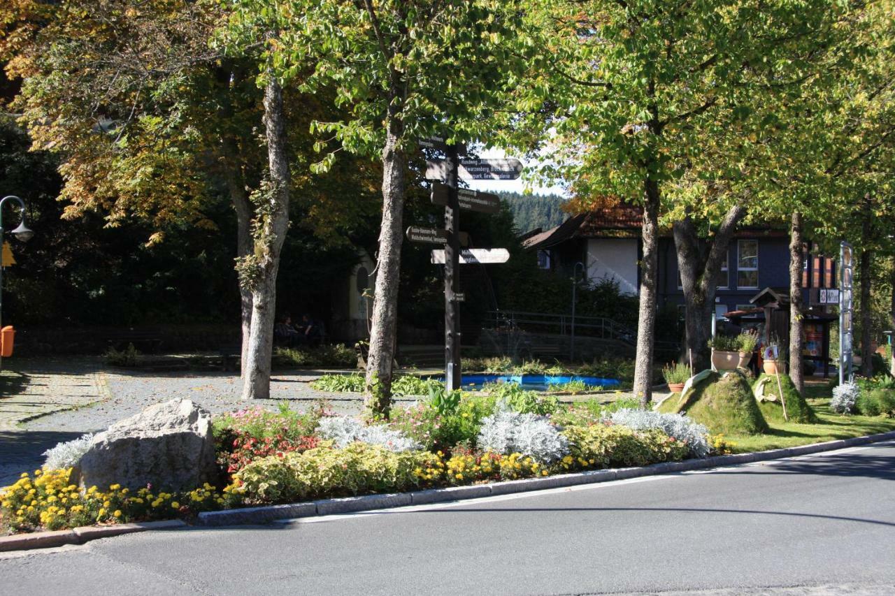 Kurpark Domizil Villa Altenau  Dış mekan fotoğraf